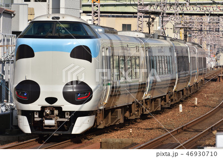 パンダくろしお 46930710