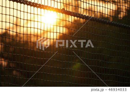 放課後のイメージ画像夕暮れ部活画像 放課後のイメージ画像夕暮れ部活画像 46934033