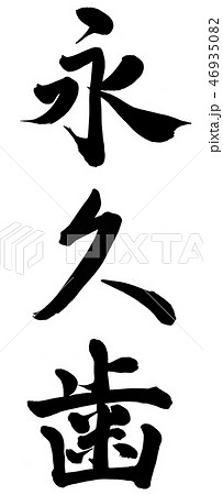永久歯 46935082