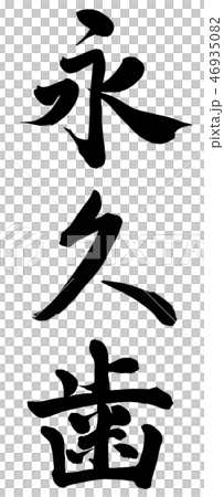 永久歯 46935082