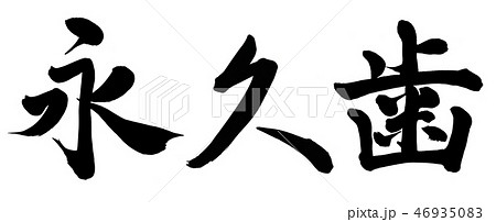 永久歯 永久歯 46935083