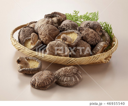 干し椎茸 干し椎茸 46935540