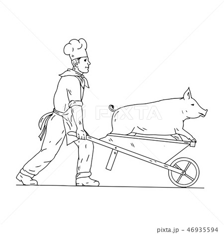 Chef With Wheelbarrow and Pig Drawing  46935594