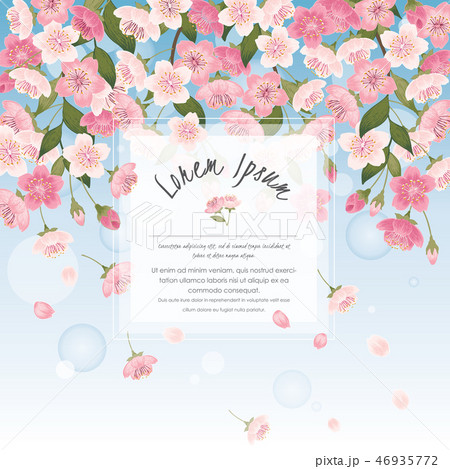 Vector illustration of cherry tree in spring		 46935772