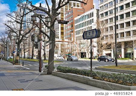 【大阪 市内 幹線道路 御堂筋】 46935824