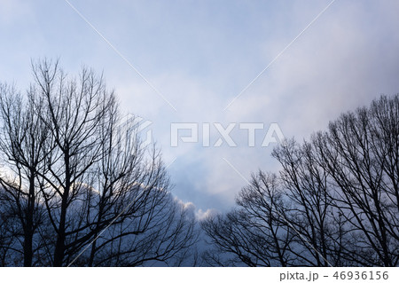 冬の夕暮れ 冬の夕暮れ 46936156