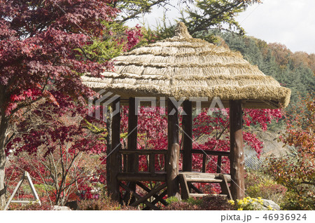 京畿道 キョンギド 加平 46936924