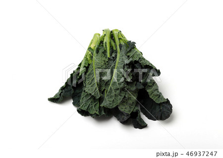 アレッタは,スティックブロッコリー,ケールの交配 46937247