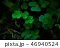 クローバー 46940524