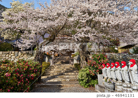 山梨県　永泰寺の桜 46941131