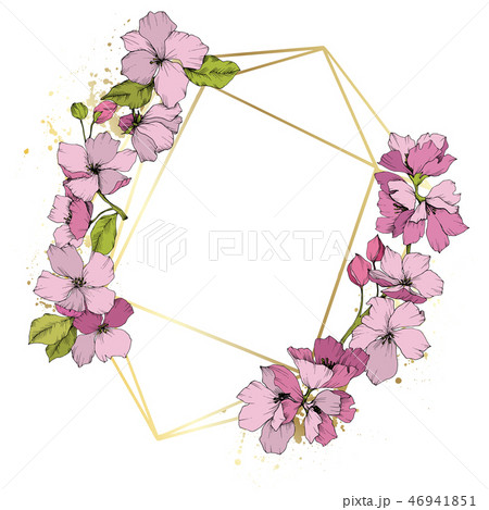 Vector Pink apple blossom floral botanical flower. Engraved ink art. Frame border ornament square. Vector Pink apple blossom floral botanical flower. Engraved ink art. Frame border ornament square. 46941851