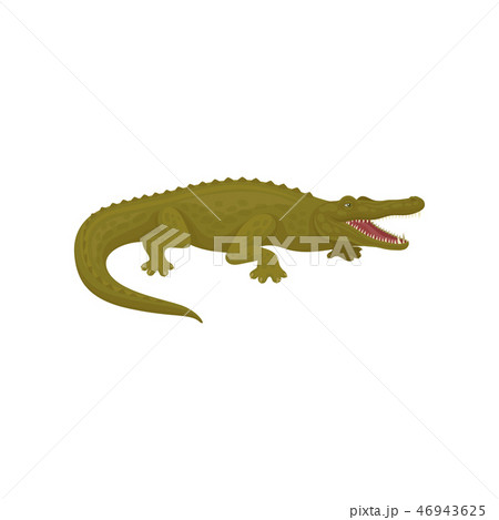 Detailed Flat Vector Icon Of Green Marine のイラスト素材