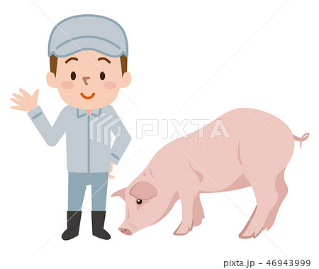 養豚業　豚 46943999