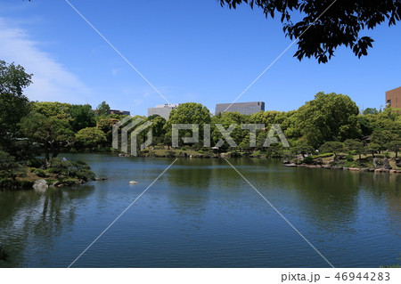 春の清澄庭園B 46944283