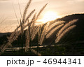 sunset 46944341