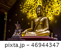 Buddha 46944347