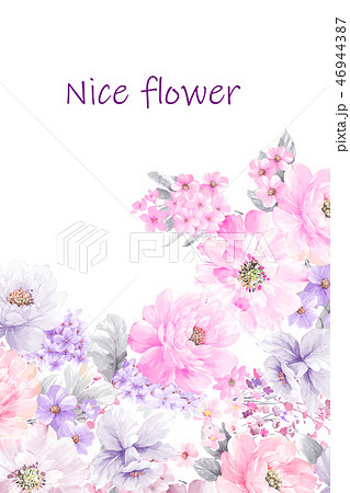 花 フラワー お花 46944387