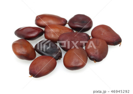 Carob seeds on white background 46945292