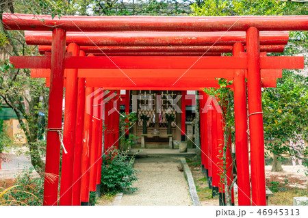 赤鳥居 城内稲荷神社 46945313