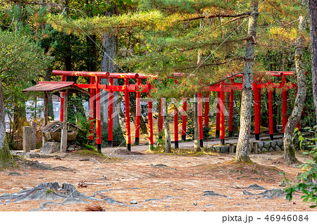 城内稲荷神社 伊賀上野城 46946084