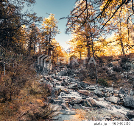 Waterfall flowing on rocks in autumn pine forest Waterfall flowing on rocks in autumn pine forest 46946236