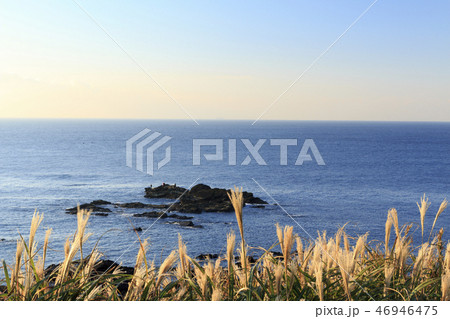 城ヶ島 城ヶ島 46946475