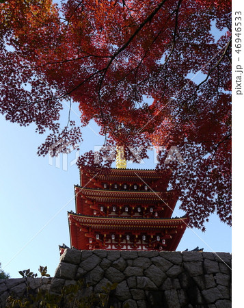 高幡不動尊 五重塔(紅葉シーズン) 高幡不動尊 五重塔(紅葉シーズン) 46946533