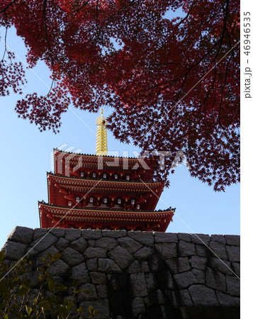 高幡不動尊 五重塔(紅葉シーズン) 高幡不動尊 五重塔(紅葉シーズン) 46946535