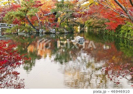 京都にある永観堂の紅葉風景。 京都にある永観堂の紅葉風景。 46946910