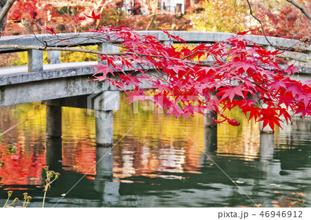 京都にある永観堂の紅葉風景。 46946912