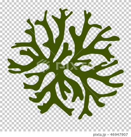Seaweed Sea Crest (Milomon) Vector material 46947907