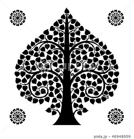 Thai Art Bodhi Tree on White Background Thai Art Bodhi Tree on White Background 46948009