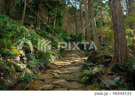 熊野古道 馬越峠 熊野古道 馬越峠 46948535