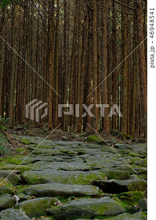 熊野古道　馬越峠 46948541