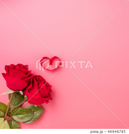 花 フラワー お花 46948785