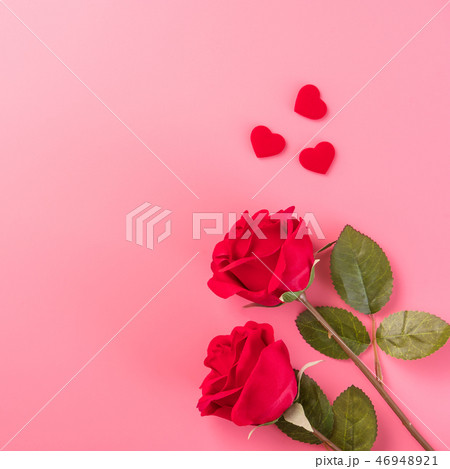 花 フラワー お花 46948921
