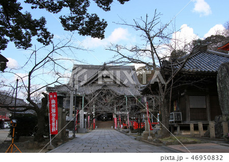 紀三井寺の本堂　和歌山県和歌山市 少し引き気味で撮影 46950832