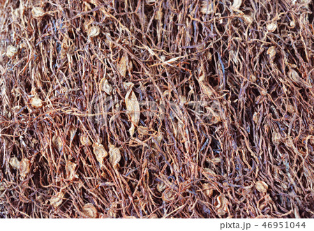 Tobacco Tobacco 46951044