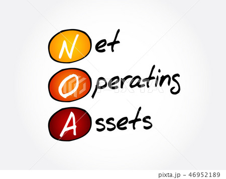 NOA - Net Operating Assets acronym 46952189
