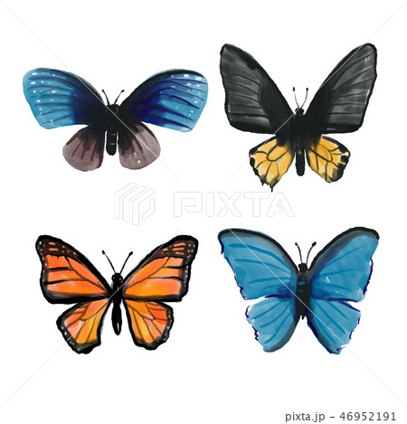 butterfly collection vector design 46952191