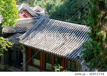 観光 見物 遊覧 46953748