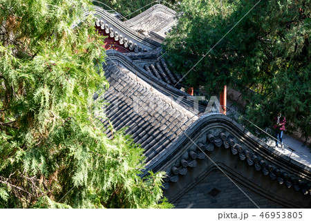 景色 風景 背景 46953805