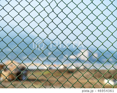 Iron mesh (net) Iron mesh (net) 46954361
