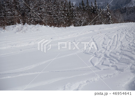新雪のファーストトラック 46954641