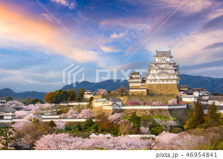 Himeji Castle, Japan in Spring Season Himeji Castle, Japan in Spring Season 46954841