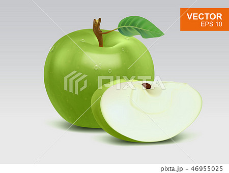 Real-life green apples vector illustration, icon 46955025