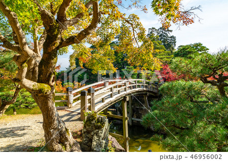 高橋と紅葉 玄宮楽々園 高橋と紅葉 玄宮楽々園 46956002