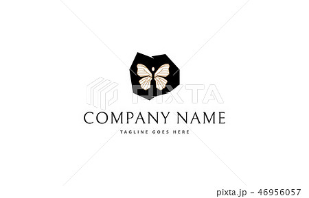 On the logo Butterfly In Stone vector logo image On the logo Butterfly In Stone vector logo image 46956057