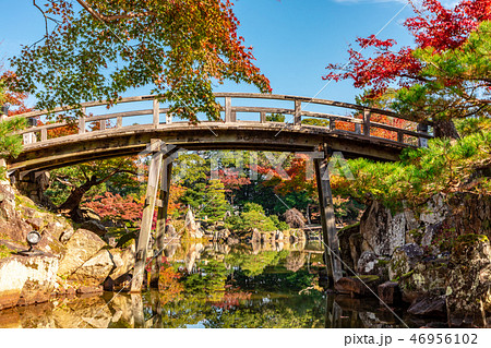 高橋　玄宮楽々園 紅葉 46956102