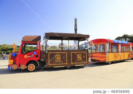 日立海浜公園　シーサイドトレイン（団体便） 46956890